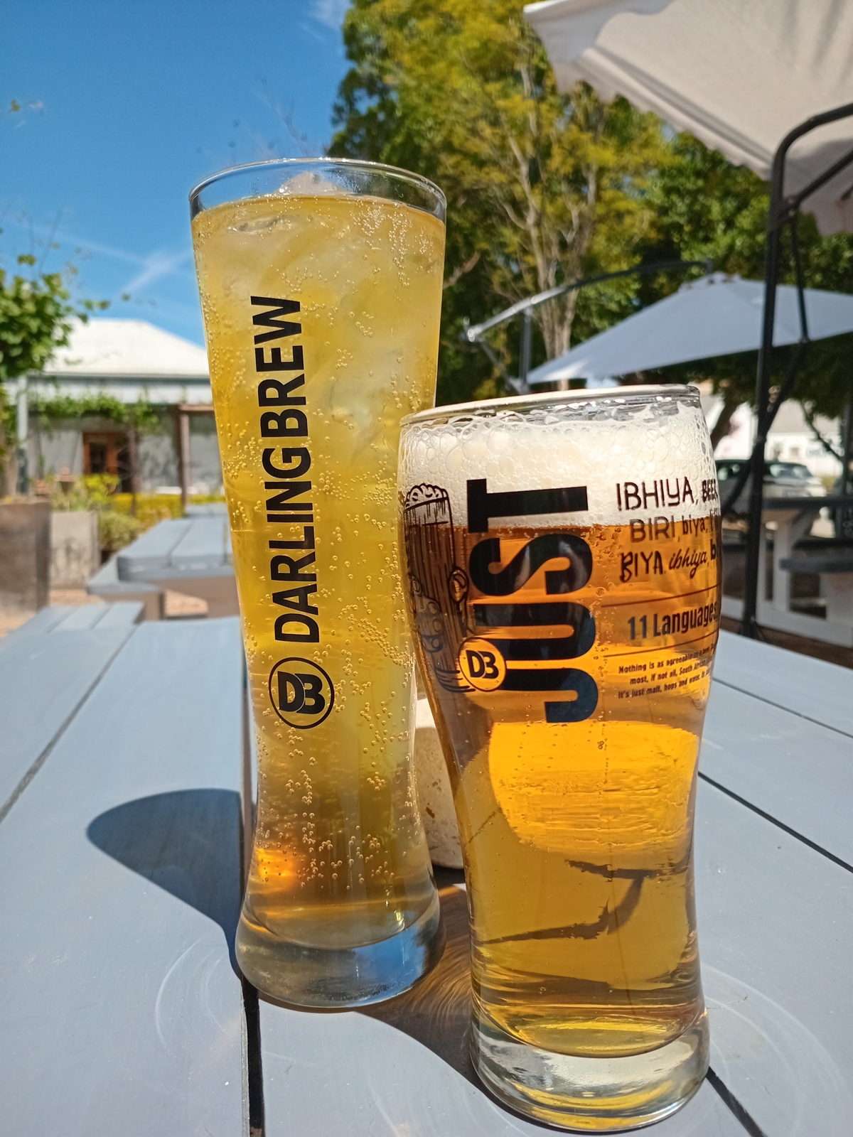 brew1